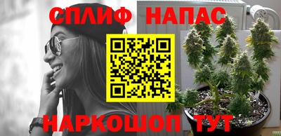 ALPHA PVP Канаш