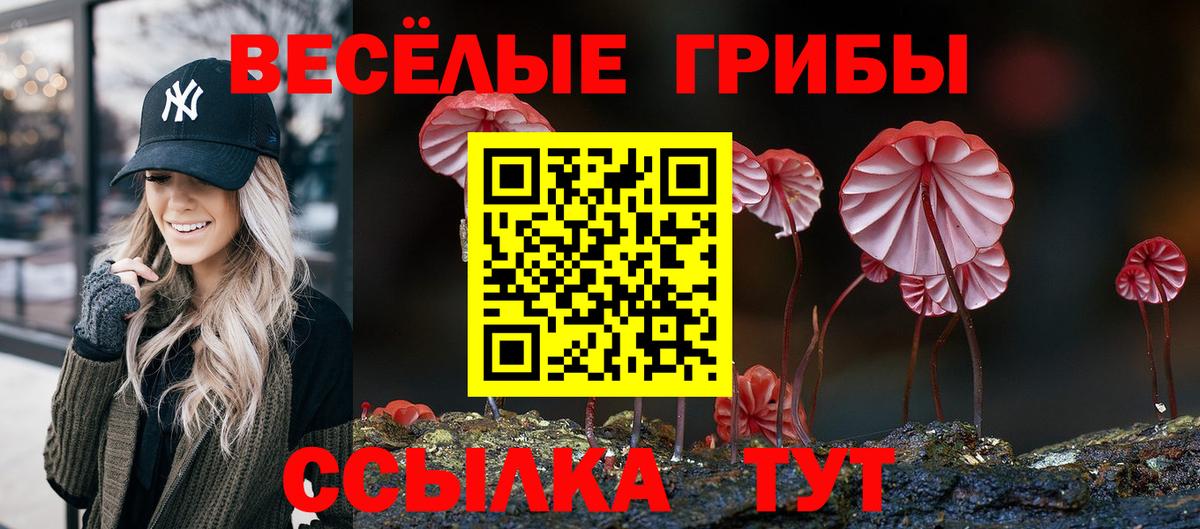 Псилоцибиновые грибы прущие грибы Кропоткин