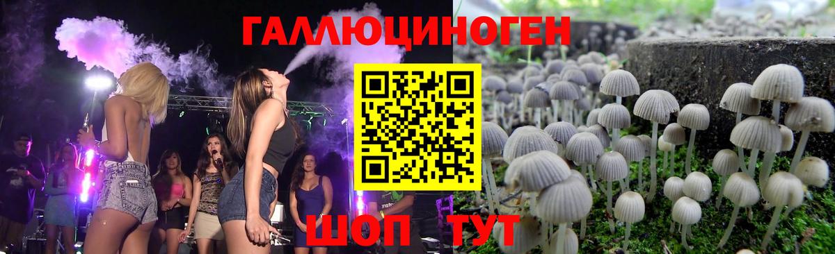 купить наркотик  Вход с VPN  Кропоткин  Псилоцибиновые грибы мицелий 